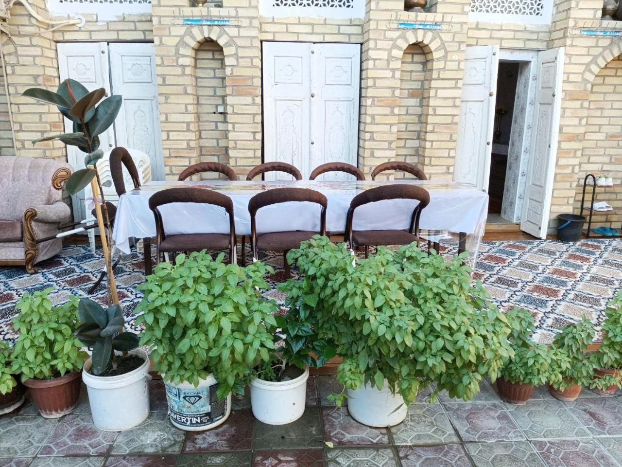 Sohibqiron Boutique Hotell Buchara Exteriör bild